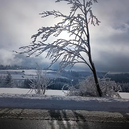 Hubertus 温特贝格