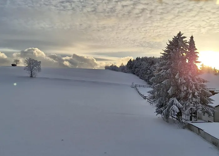 Konukevi Hubertus 3*