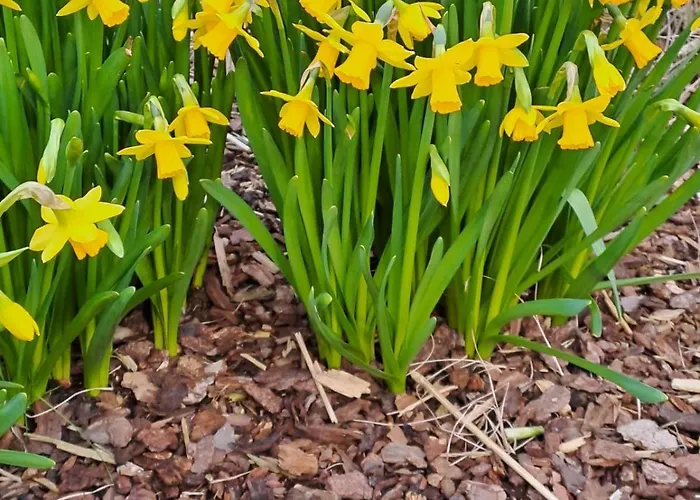 Konukevi Hubertus Winterberg