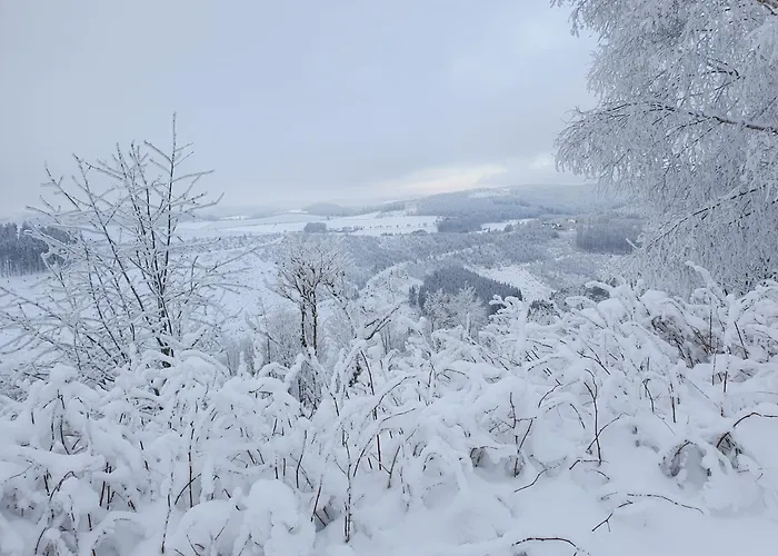 Konukevi Hubertus Winterberg